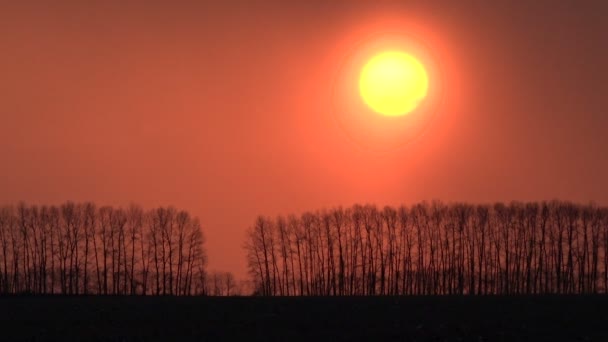 Puesta de sol sobre el campo en un fondo de árboles — Vídeos de Stock