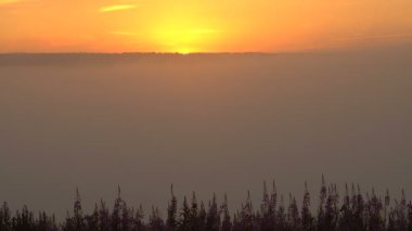 Sunrise pembe orman Vadisi siste