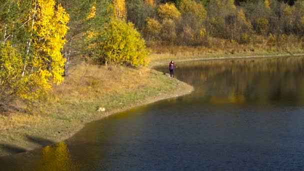 Meisje loopt langs de oever van een Forest Lake herfst zonnige dag. — Stockvideo