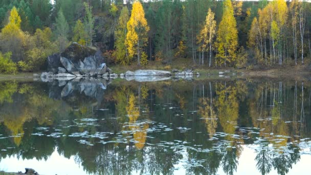 Forest Lake in herfst geel bomen achtergrond. Avond — Stockvideo