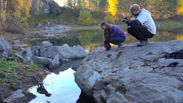 Par fotografier af hunden Hop ind i vandet – Stock-video