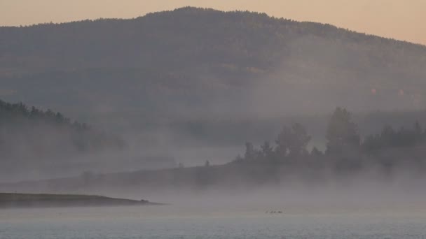 Dimma över sjön före gryningen. Slow Motion — Stockvideo