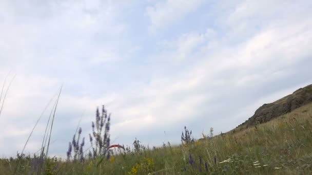 Rosja, Magnitogorsk. 06/06/2016 konkurencji paralotnie nad gór Ridge letni dzień — Wideo stockowe