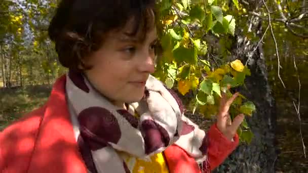 Movimiento lento de la joven morena hermosa Retrato de pasos a través de las ramas de los árboles de otoño. Día soleado en otoño . — Vídeo de stock