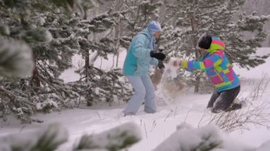 İki kadın bir köpek kış orman ile oynarken yavaş hareket