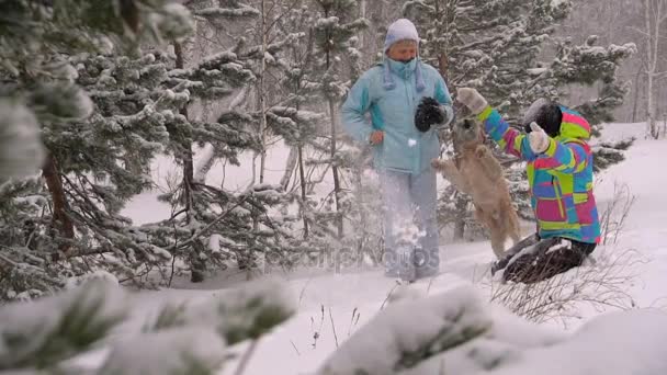 Dos mujeres jugando con un perro en el bosque de invierno en cámara lenta — Vídeos de Stock