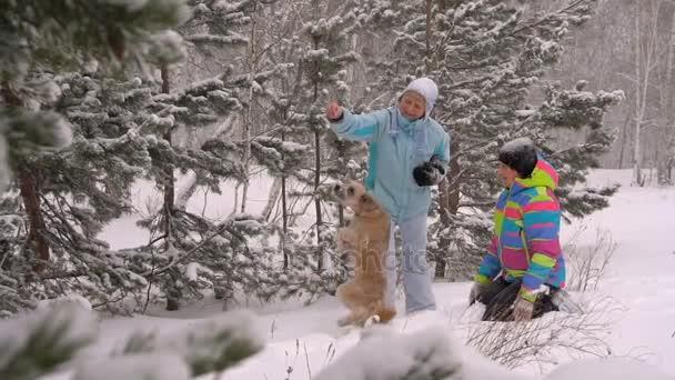Duas mulheres brincando com um cachorro na floresta de inverno câmera lenta — Vídeo de Stock