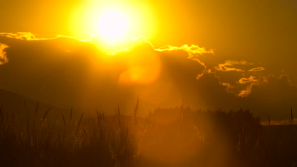 Taymlaps puesta de sol en hermosas nubes en un prado salvaje — Vídeos de Stock