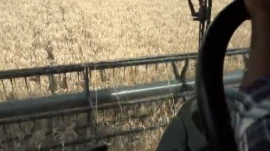 Kokpit görünümünden buğday hasat birleştirmek