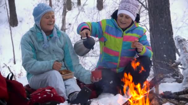 Dva dospělé ženy na zimní piknik táborák Fun pití čaje z termosky — Stock video