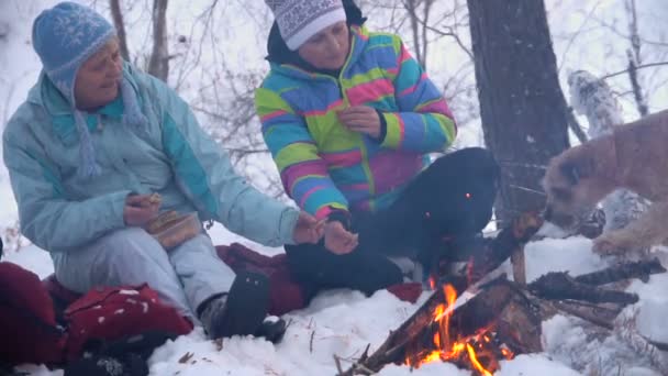 Deux femmes adultes en hiver pique-nique feu de camp plaisir à boire du thé d'un Thermos — Video