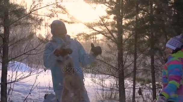 Moción lenta Dos mujeres adultas jugando con el perro en la nieve. Día de invierno soleado — Vídeo de stock