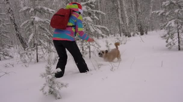 Vrouw in KERSTMUTS spelen met een hond in een besneeuwd bos — Stockvideo