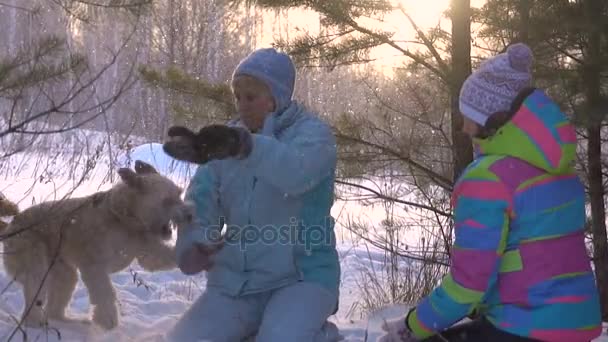 Медленное движение Два взрослых женщины играют с собакой в снегу. Солнечный зимний день — стоковое видео