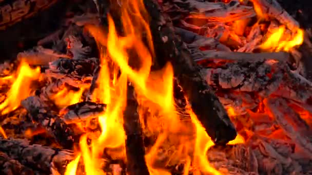 Gyönyörű erdő tűz lángjai közelről lassú mozgás — Stock videók