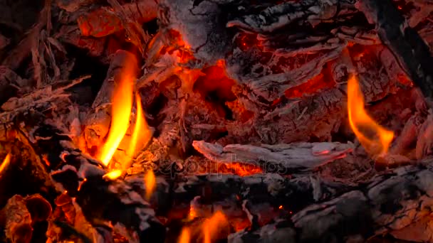 Bella foresta fuoco fiamme Close-up rallentare il movimento — Video Stock
