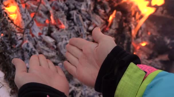 Women's handen worden verwarmd door het vuur op een picknick — Stockvideo