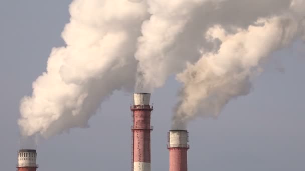 Luftverschmutzung. Nahaufnahme der Entrauchung von Pfeifen. — Stockvideo