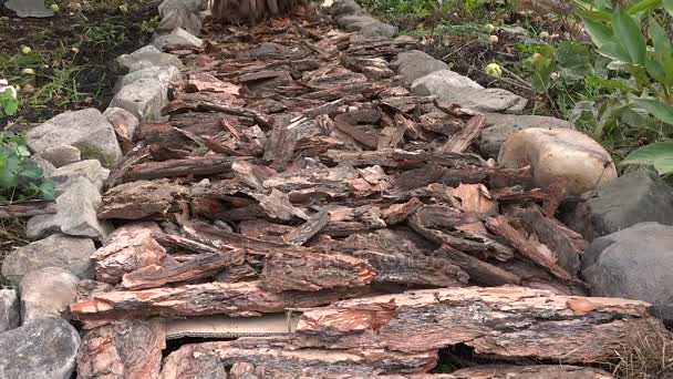 Skapa en trädgårds Stig av Pine bark — Stockvideo