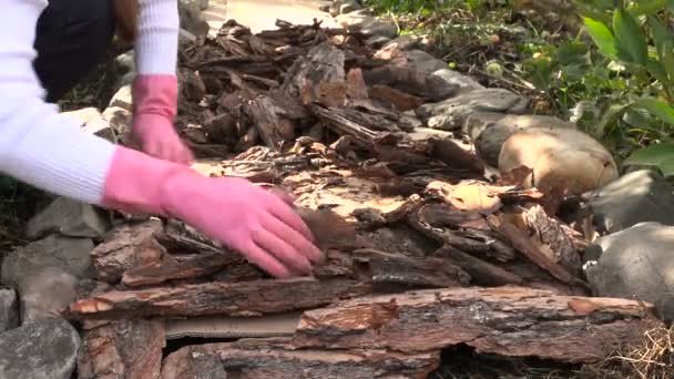 Creating a Garden Path of Pine Bark — Stock Video