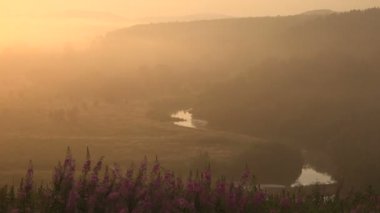 Manzara Misty River Valley Sunrise adlı. Yaz saati.