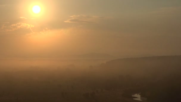 Landschap Misty Forest Valley bij zonsopgang. Zomertijd. Time-lapse — Stockvideo