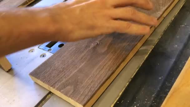 Segments on Board in the Hands of a Carpenter — Stock Video