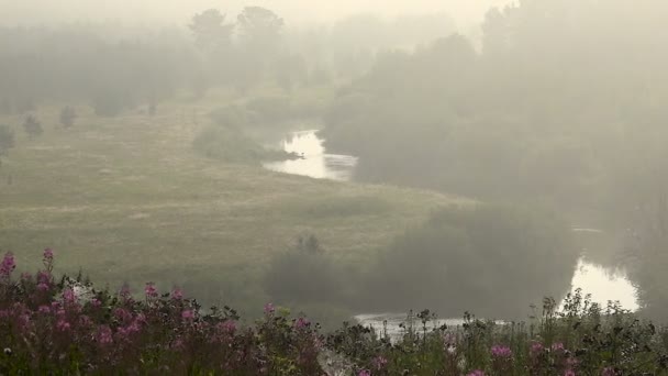 Paesaggio estivo della valle del fiume nella nebbia Mattina — Video Stock