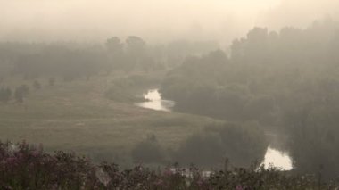 Sabah erken bitti orman nehirde sis. Yaz saati.