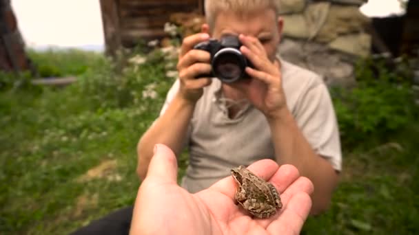 Fröhliche Person nimmt ein Nahaufnahme-Foto von einem Frosch auf seine Hand — Stockvideo