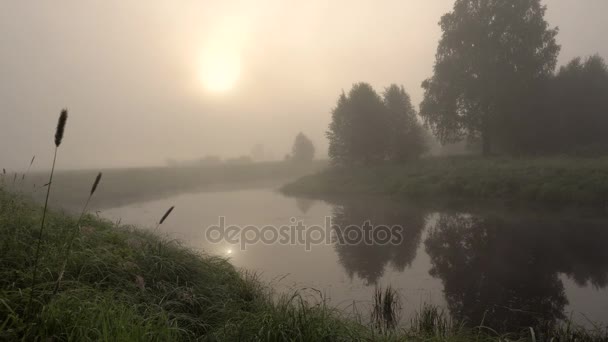 Fog Over Forest River in Early Morning. Heure d "été .