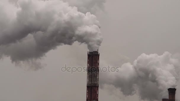 Global Pollution Dense Smoke From Factory Pipes — Stock Video