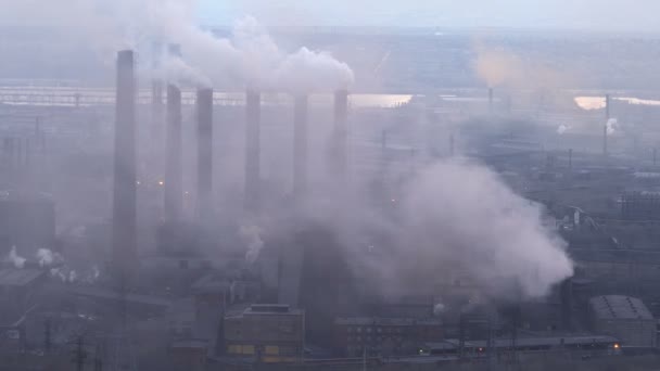 Buizen van een grote Plant roken sfeer — Stockvideo