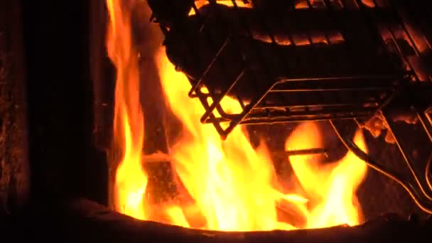 Жареные колбасы жарят в камине — стоковое видео