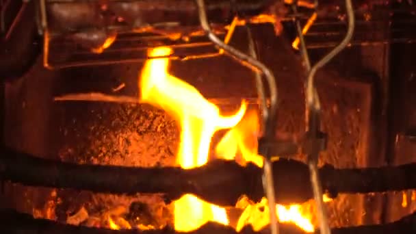Kiełbaski z grilla są palone w kominku — Wideo stockowe