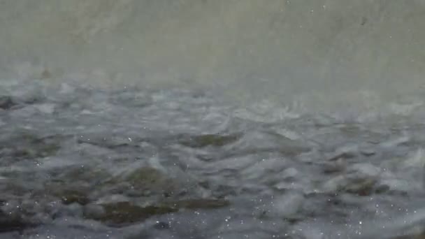 Air terjun di Sungai Gunung di Musim Semi pada Hari Sunny — Stok Video