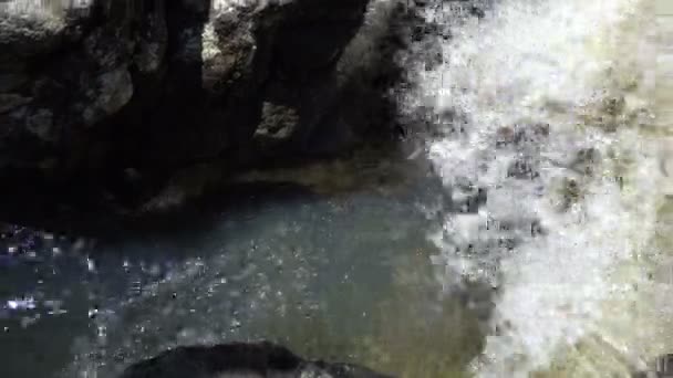 Flujos transparentes de un arroyo de montaña Primer plano de un día soleado brillante . — Vídeo de stock