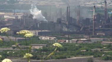 Metalurji tesisi emisyon duman tarafından Çevre kirliliğinin. Çiçek açması çimen ön planda.