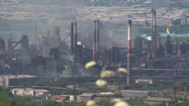 Metalurji tesisi emisyon duman tarafından Çevre kirliliğinin. Çiçek açması çimen ön planda.