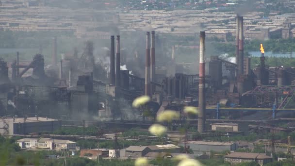 Planta Metalúrgica Poluição do Meio Ambiente por Emissão de Fumaça. Grama florescente em primeiro plano . — Vídeo de Stock
