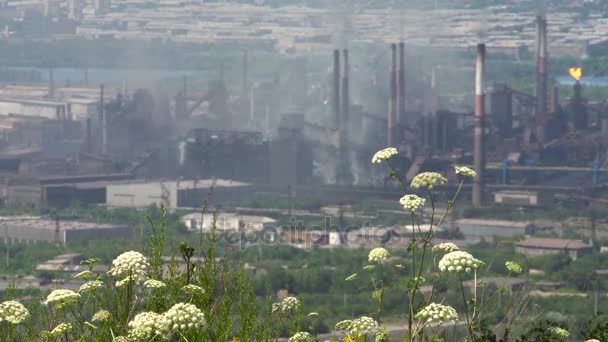 Contaminación de la ciudad por emisiones de empresas industriales — Vídeos de Stock