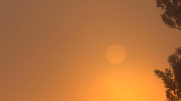 盘的 Sun Timelaps 通过熔融的雾 — 图库视频影像
