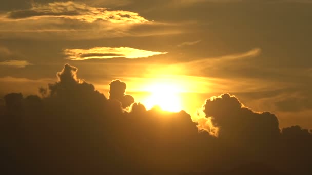 在夏日的山脉，美丽的夕阳树圈 — 图库视频影像