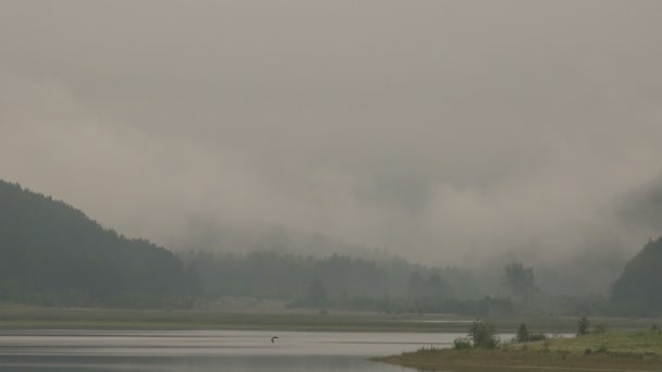 Ομίχλη το πρωί Time-Lapse λίμνη στα βουνά — Αρχείο Βίντεο
