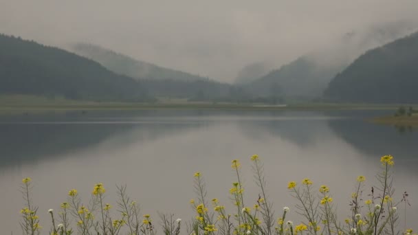 Niebla en el lago Morning Time-Lapse en las montañas — Vídeo de stock