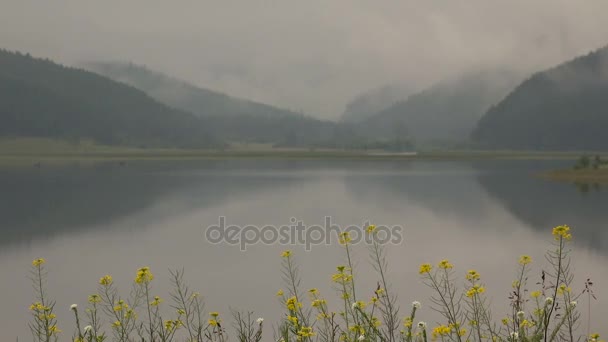 Niebla en el lago Morning Time-Lapse en las montañas — Vídeo de stock