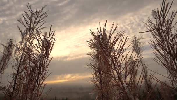 Tid varv flytta Clouds.sky med vackra moln i gryningen i höst. — Stockvideo