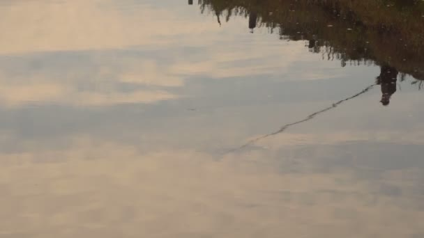 Río al amanecer Reflexión de un pescador sobre el agua — Vídeo de stock