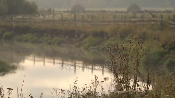 Landsbygdens landskap på bakgrund av floden och höstackar — Stockvideo