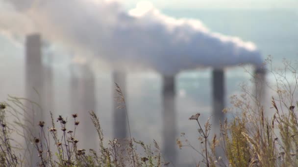 Pollution de l'atmosphère par une entreprise industrielle de l'industrie métallurgique .